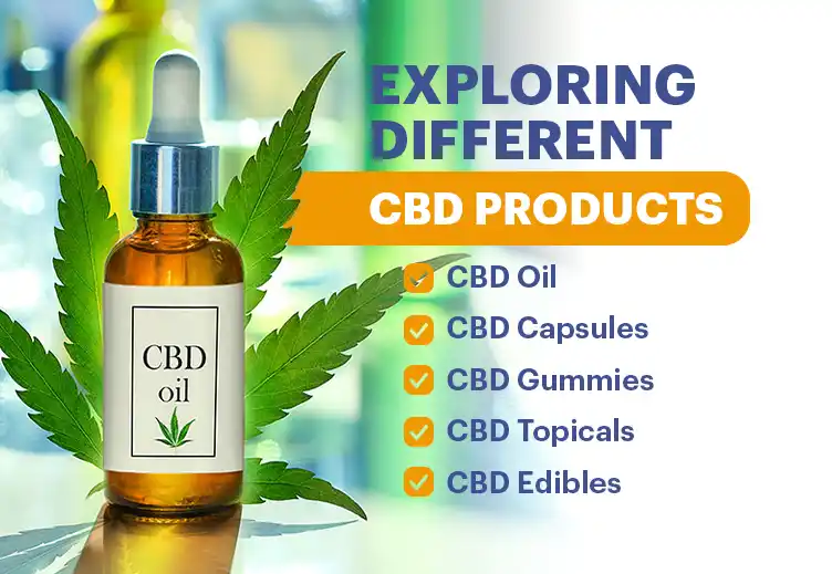 Exploring Different CBD Products