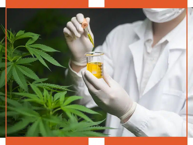 Understanding CBD and Its Pain-Relieving Properties